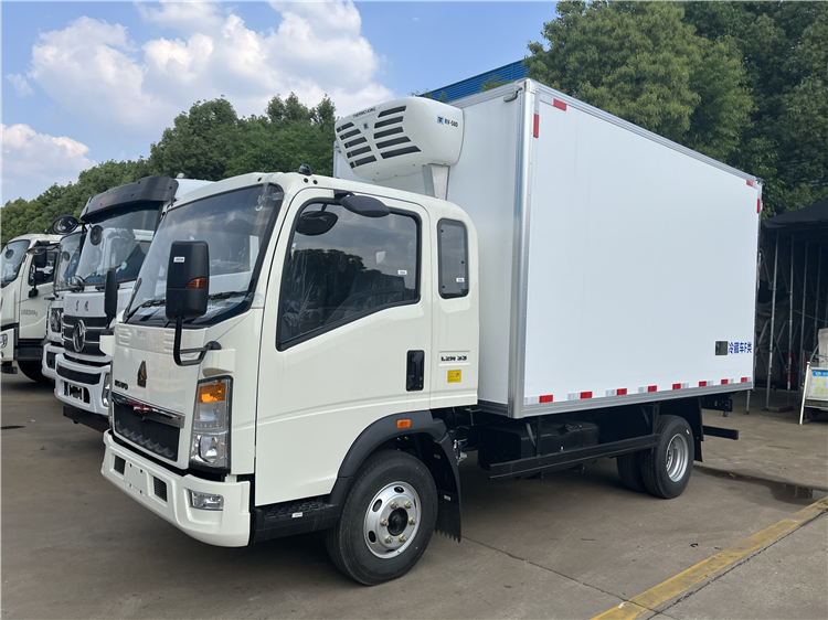 HOWO RHD 4x2 Small Refrigerated Van Truck