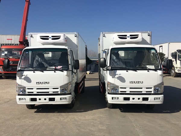 ISUZU 100P 4x2 3-5T Small Freezer Van Truck