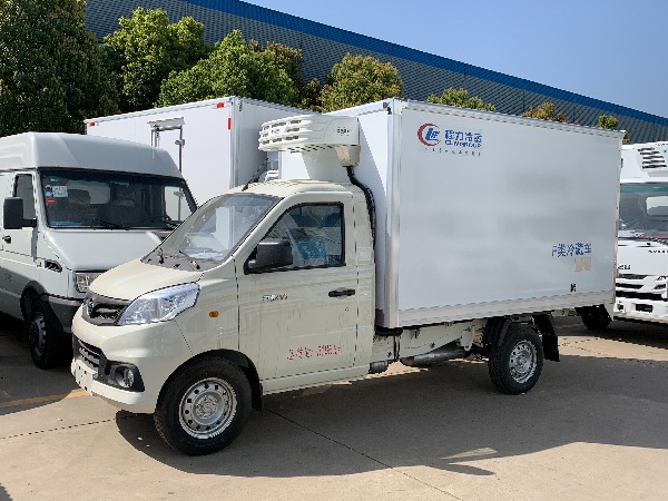 FOTON 4x2 1.5T Mini Refrigerated Van Truck