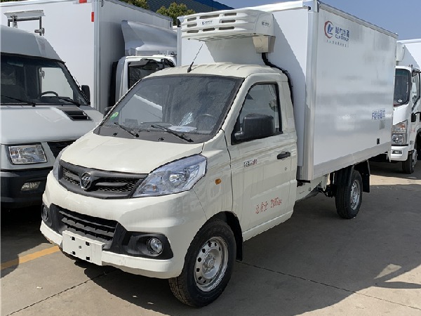 FOTON 4x2 1.5T Mini Refrigerated Van Truck