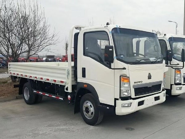 SINOTRUK HOWO 4x2 3-5T Cargo Truck