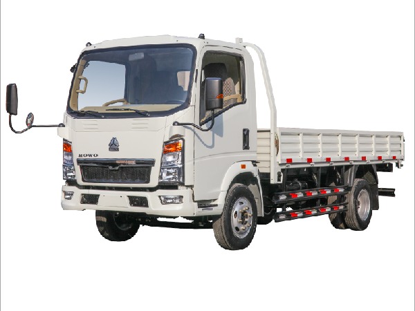 SINOTRUK HOWO 4x2 3-5T Cargo Truck