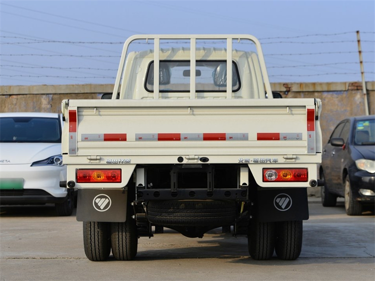 FOTON M1 4x2 2-3T Mini Cargo Truck